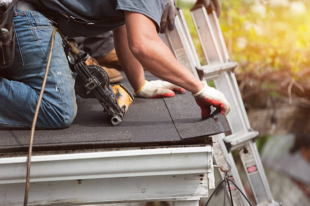 Best Roof Leak Repair  in Bottineau, ND